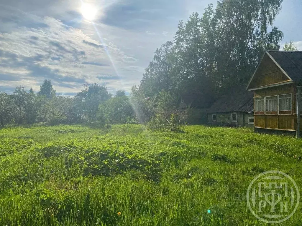 Дом в Ленинградская область, Гатчинский муниципальный округ, Дружная ... - Фото 2