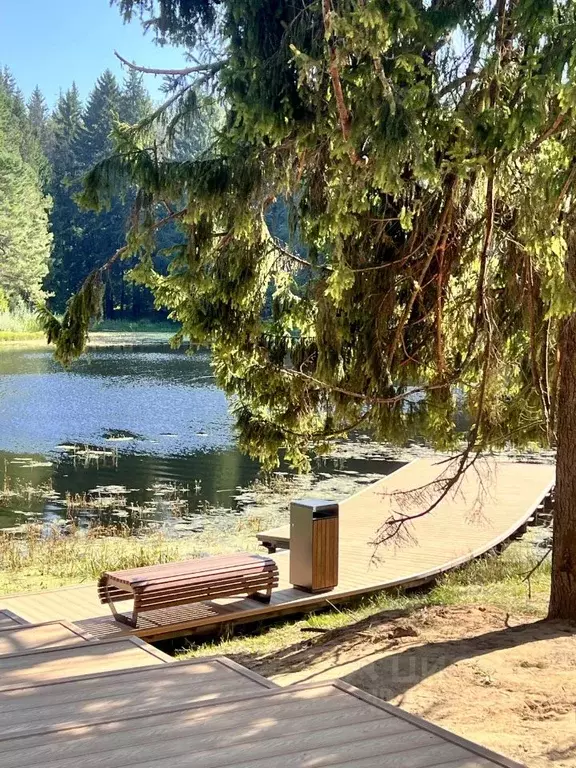 Участок в Московская область, Шаховская муниципальный округ, Шаховская ... - Фото 2