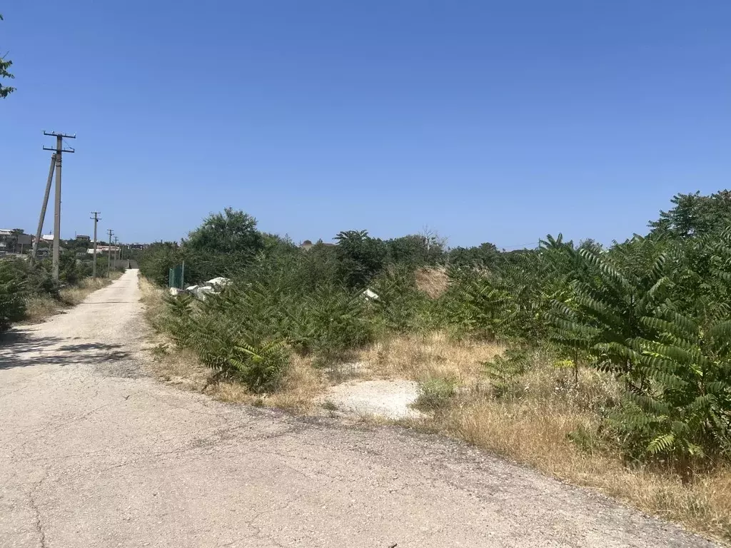 Помещение свободного назначения в Севастополь Фиолент мкр,  (1000 м) - Фото 1