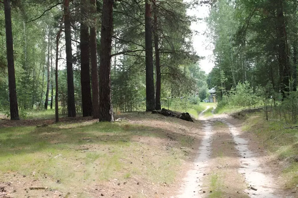 Участок в Курганская область, Кетовский муниципальный округ, пос. ... - Фото 0
