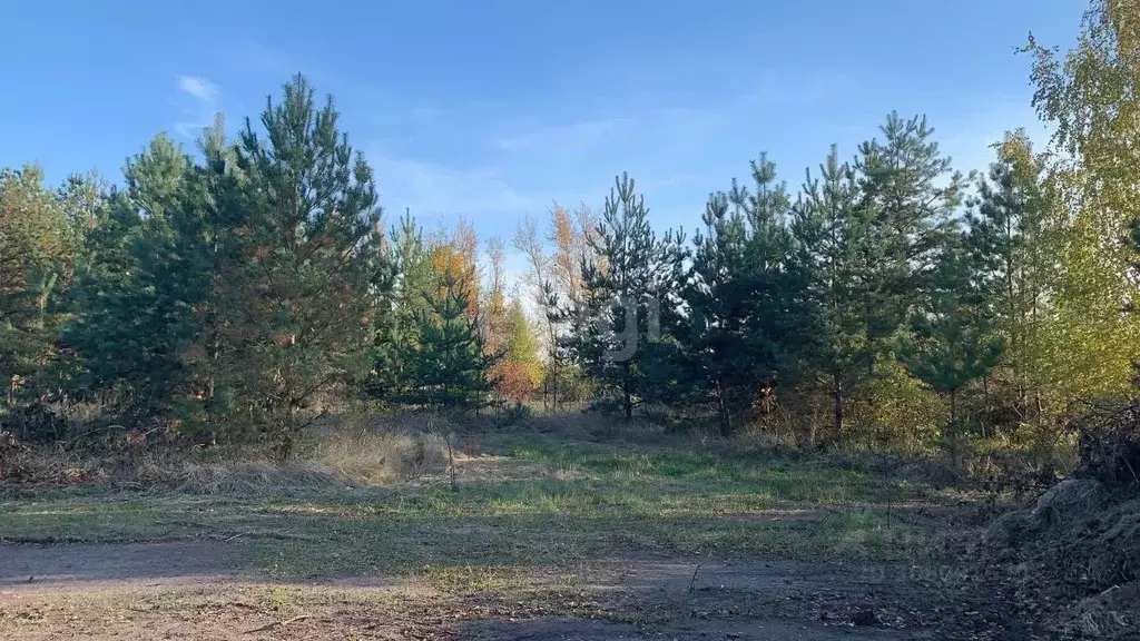 Участок в Воронежская область, Воронеж Большая Семья СНТ, ул. Луговая ... - Фото 0