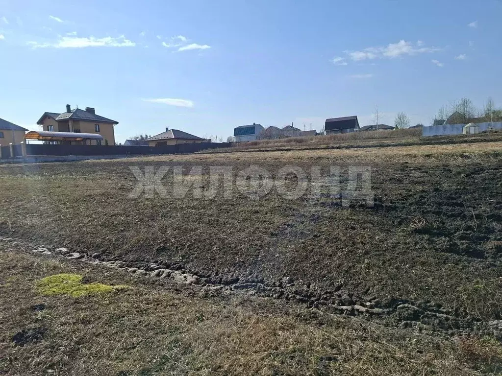 Участок в Брянская область, Брянский район, с. Глинищево ул. Заречная ... - Фото 2