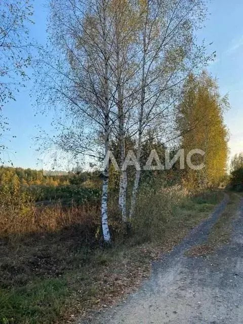 Участок в Владимирская область, Камешковский район, Второвское ... - Фото 1