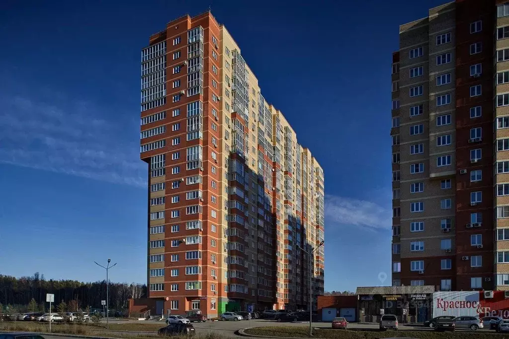 1-к кв. Челябинская область, Челябинск ул. Бейвеля, 22 (49.0 м) - Фото 1