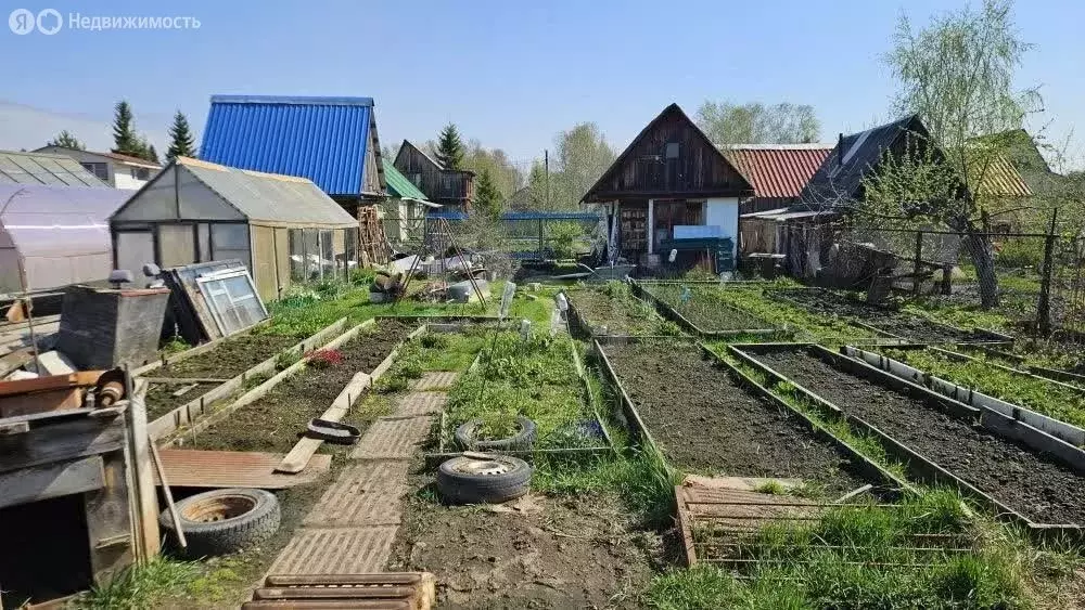 Дом в Тюмень, СНТ Ручеёк, Лесная улица (17 м) - Фото 1