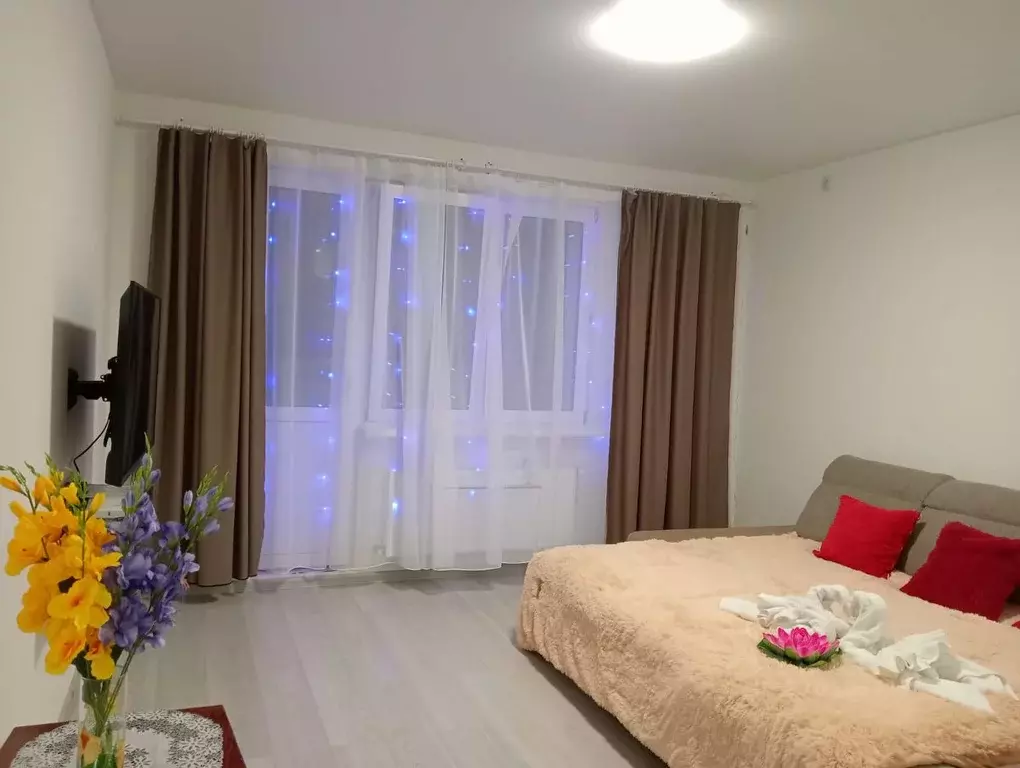 1-к кв. Московская область, Ногинск Богородский городской округ, ул. ... - Фото 0