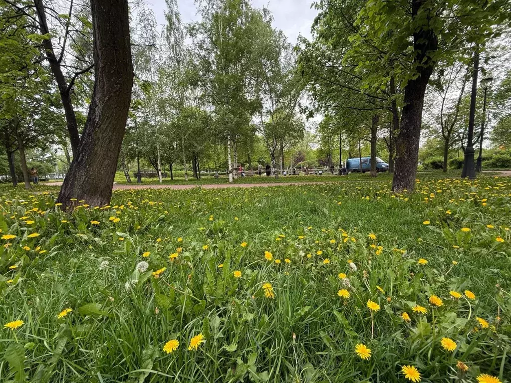 Комната Санкт-Петербург ул. Опочинина, 5 (18.4 м) - Фото 1