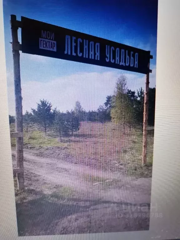 Участок в Тверская область, Калининский муниципальный округ, д. Козино ... - Фото 2