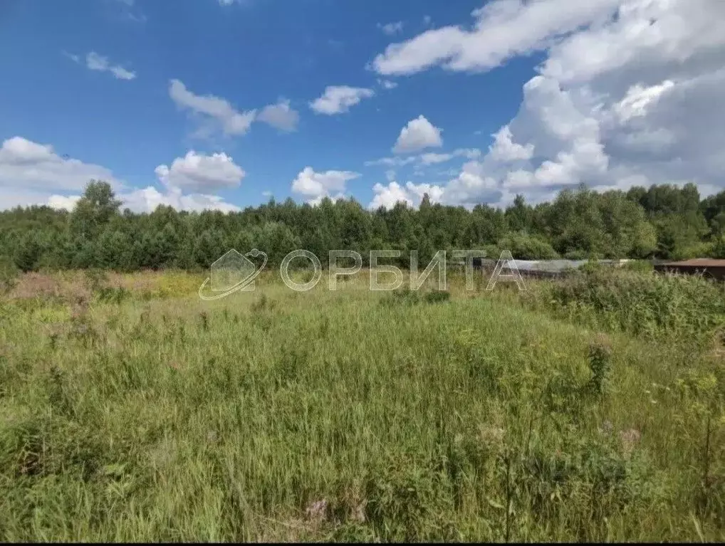 Участок в Тюменская область, Нижнетавдинский муниципальный округ, д. ... - Фото 2