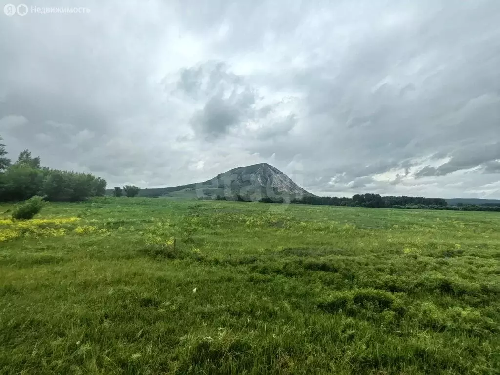 Участок в Ишимбайский район, Урман-Бишкадакский сельсовет, деревня ... - Фото 2