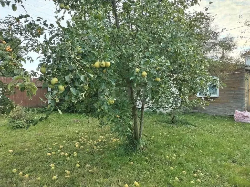 Дом в Вологодская область, д. Ивлево 6 (141 м) - Фото 1