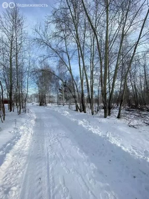 Участок в Искитимский район, Мичуринский сельсовет, СПК Восток-2 (6 м) - Фото 1