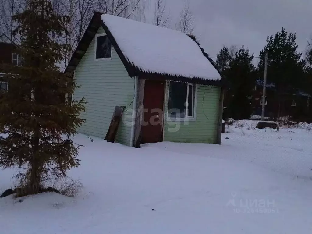 Участок в Ленинградская область, Сосновый Бор Ромашка СНТ, ул. Лесная, ... - Фото 1