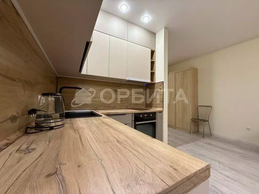 Студия Тюменская область, Тюменский муниципальный округ, д. Дударева ... - Фото 2