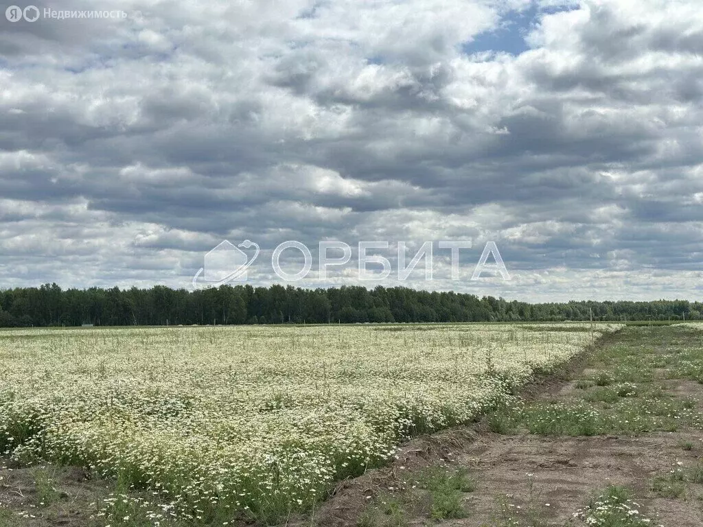 Участок в Тюменский район, село Щербак (4.8 м) - Фото 1