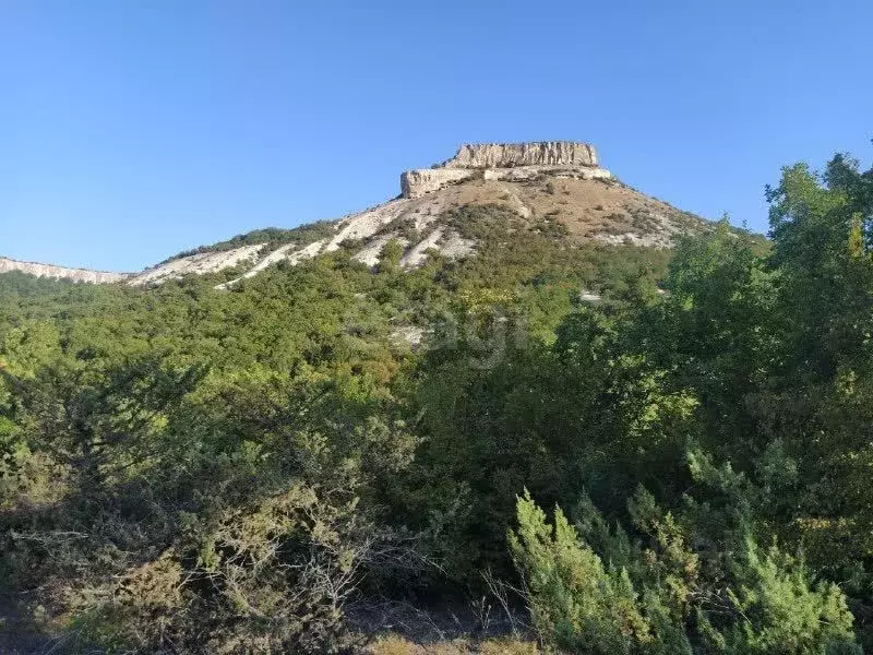 Участок в Крым, Бахчисарайский район, Верхореченское с/пос, с. Машино ... - Фото 1