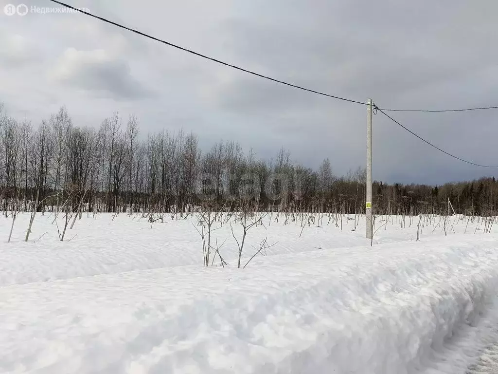 Участок в Республика Коми, муниципальный район Сыктывдинский, село ... - Фото 2