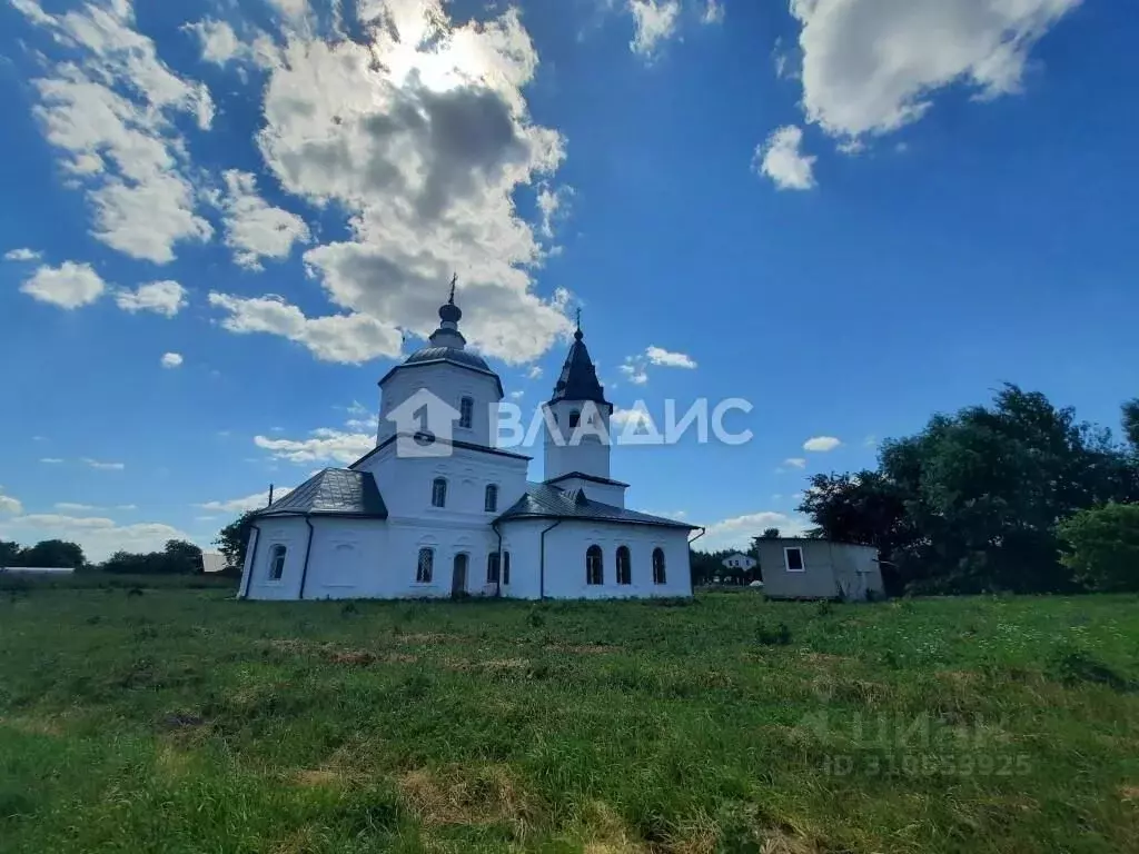 Участок в Владимирская область, Камешковский район, Второвское ... - Фото 1