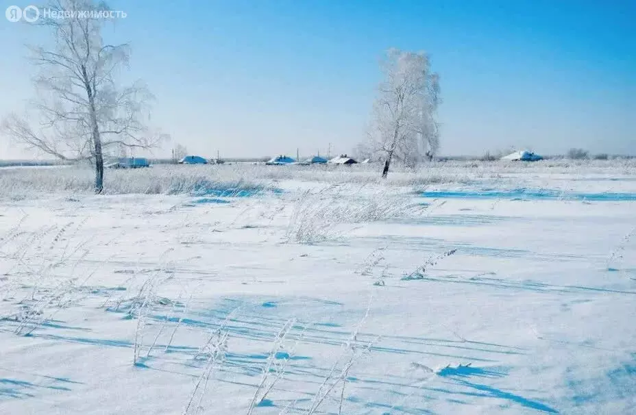 Участок в Новосибирский район, Кудряшовский сельсовет, посёлок ... - Фото 1
