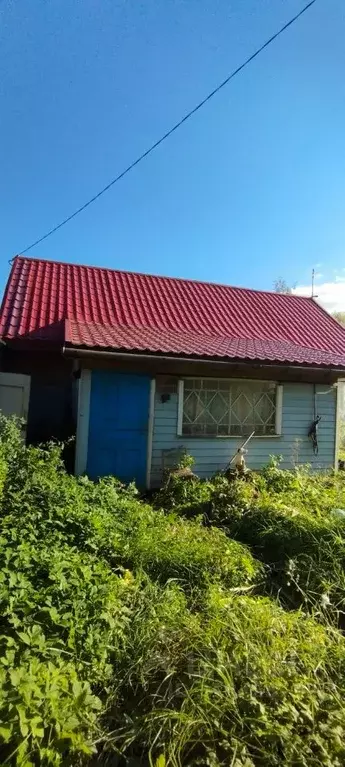 Дом в Новгородская область, Шимский муниципальный район, Медведское ... - Фото 2