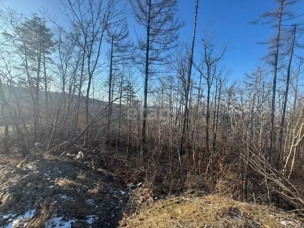 Участок в Приморский край, Владивостокский городской округ, пос. ... - Фото 0