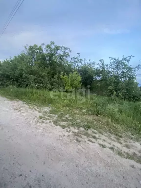 Участок в Белгородская область, Шебекинский муниципальный округ, ... - Фото 2