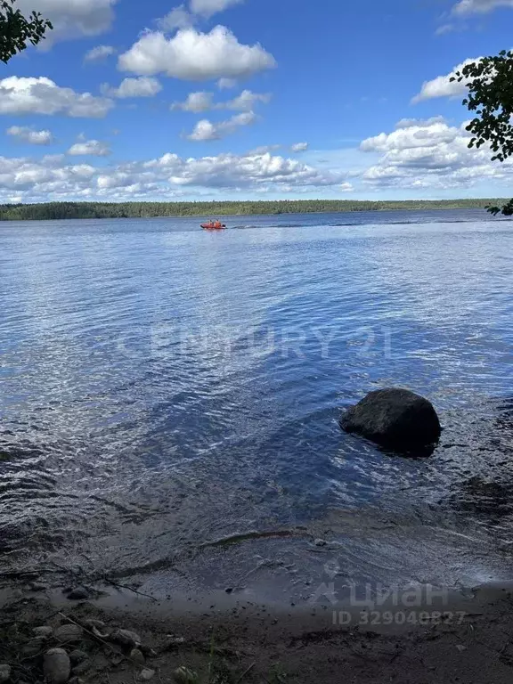 Участок в Ленинградская область, Приозерский район, Громовское с/пос, ... - Фото 1