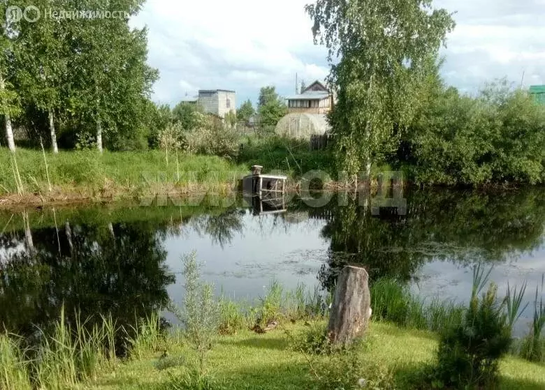 Участок в Колыванский район, садовое товарищество Калина красная (7 м) - Фото 1