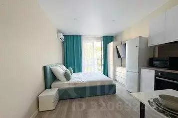 1-к кв. Краснодарский край, Сочи ул. Искры, 88к3 (27.0 м) - Фото 0