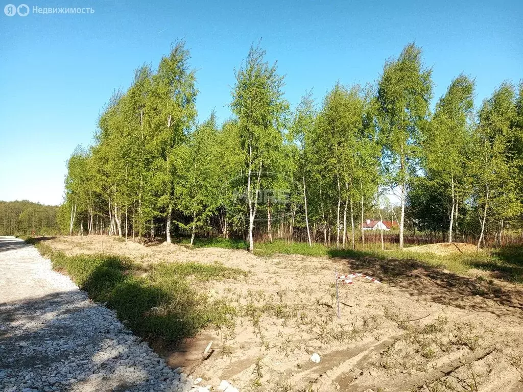 Участок в Калининградская область, Гурьевский муниципальный округ, ... - Фото 1