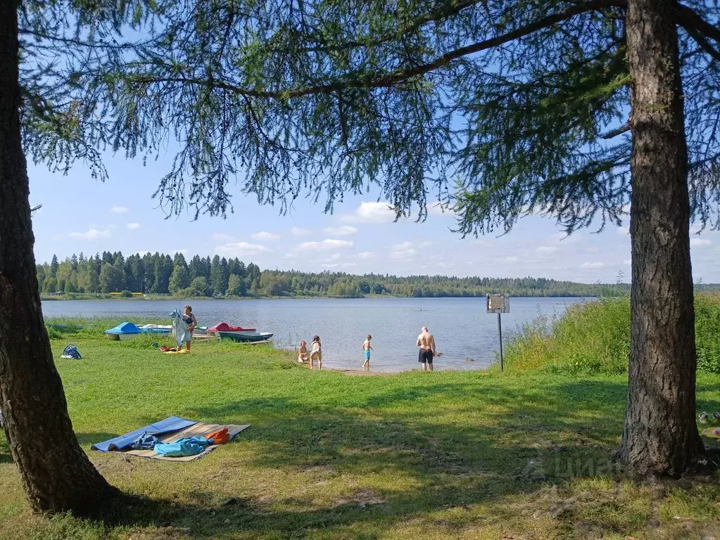 участок в московская область, дмитровский городской округ, д. рыбаки . - Фото 1