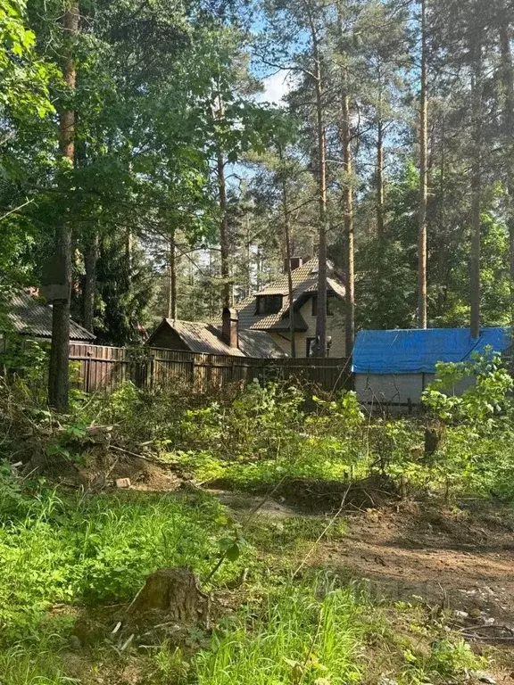 Участок в Ленинградская область, Всеволожск Алексеевский просп., 116 ... - Фото 1