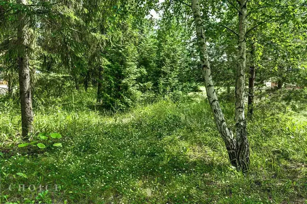 Участок в Московская область, Одинцовский городской округ, д. ... - Фото 2
