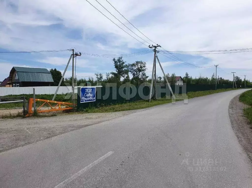 Участок в Новосибирская область, Новосибирский район, Кубовинский ... - Фото 0