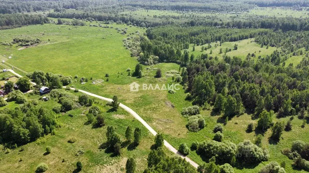 Участок в Владимирская область, Судогодский муниципальный округ, д. ... - Фото 1