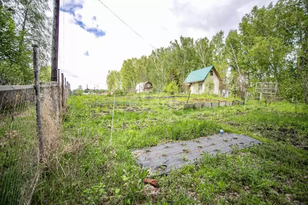 Участок в Бердск, садоводческое некоммерческое товарищество Луговое-1 ... - Фото 0