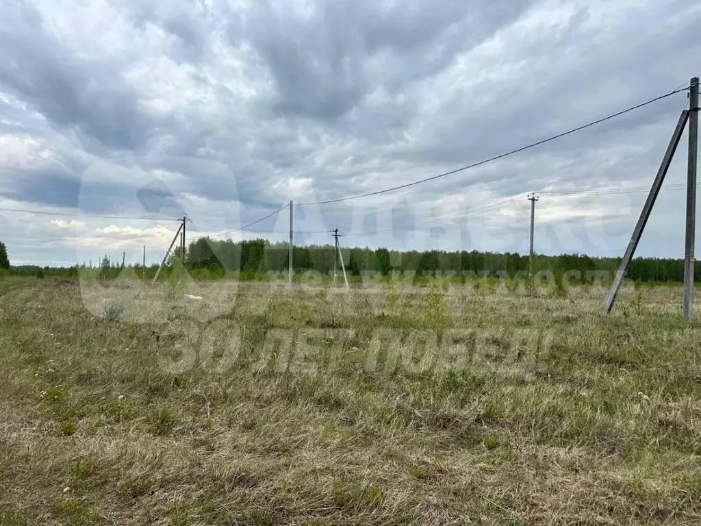 Участок в Тюменская область, Тюменский район, с. Каменка  (10.0 сот.) - Фото 2