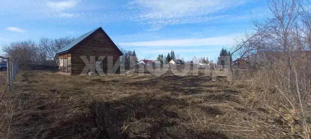 Дом в Новосибирская область, Новосибирский район, с. Боровое Трактовая ... - Фото 2