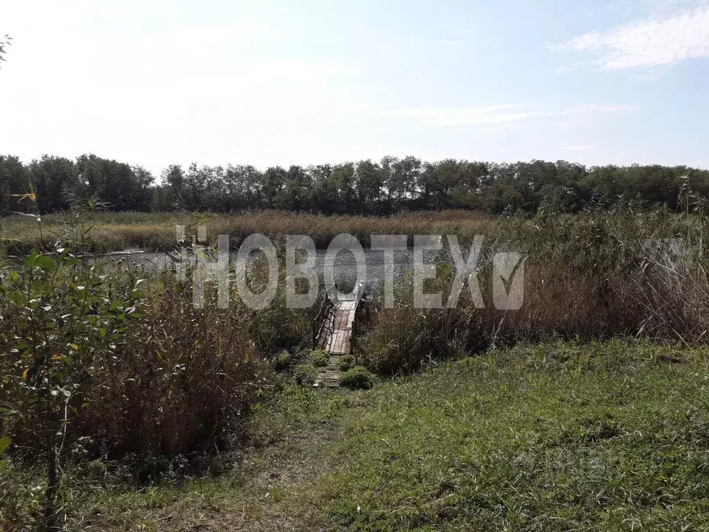 Участок в Краснодарский край, Тихорецк Россиянка-1 садовое . - Фото 1