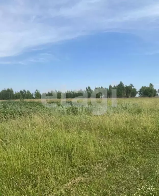 Участок в Костромская область, Нерехта  (8.7 сот.) - Фото 2