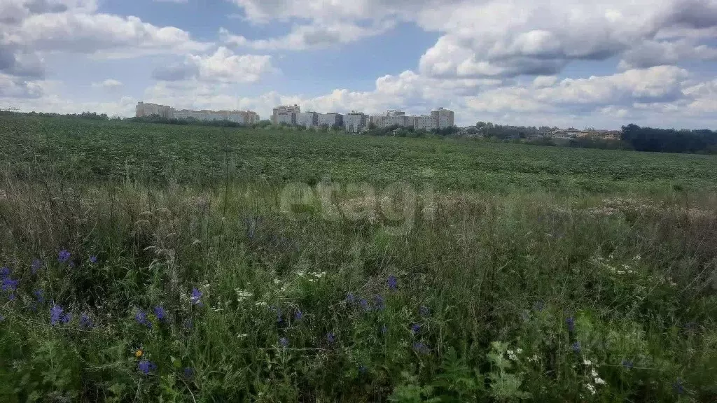 Участок в Белгородская область, Белгородский район, Дубовское с/пос, ... - Фото 0