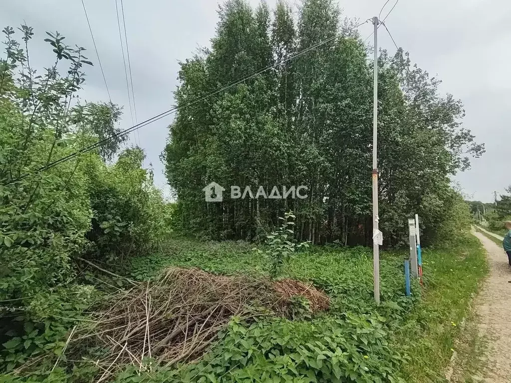 Участок в Владимирская область, Суздальский муниципальный округ, ... - Фото 2
