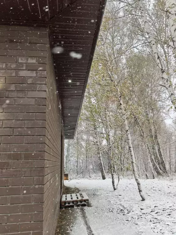 Коттедж в Алтайский край, Первомайский район, с. Фирсово ул. Порфирия ... - Фото 2