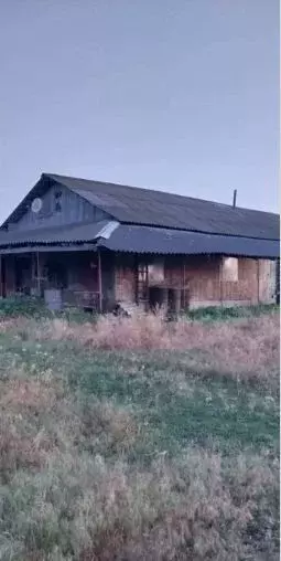 Участок в Волгоградская область, Суровикинский район, Нижнеосиновское ... - Фото 0