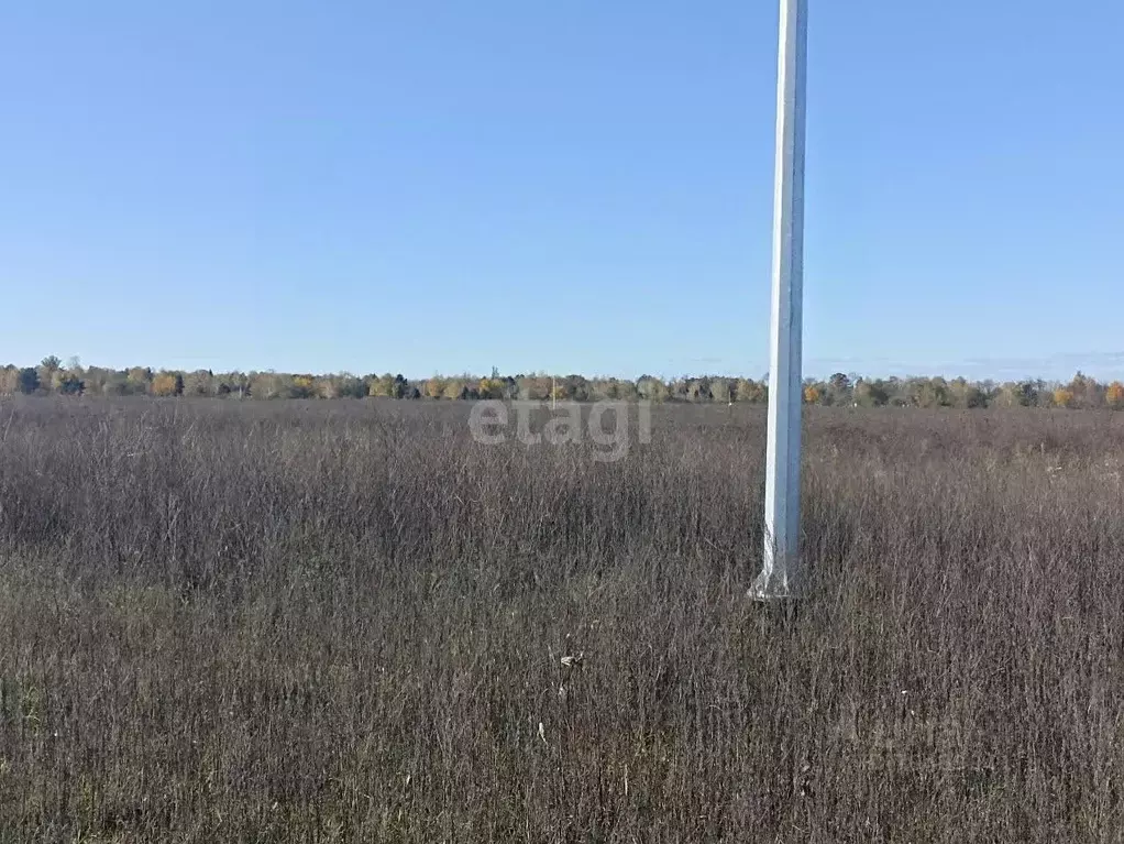 Участок в Адыгея, Майкоп городской округ, пос. Северный ул. Школьная ... - Фото 1