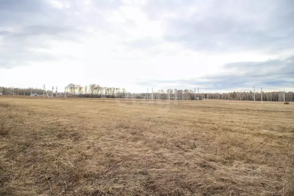 Участок в Алтайский край, Первомайский район, с. Фирсово, Полесье мкр  ... - Фото 2