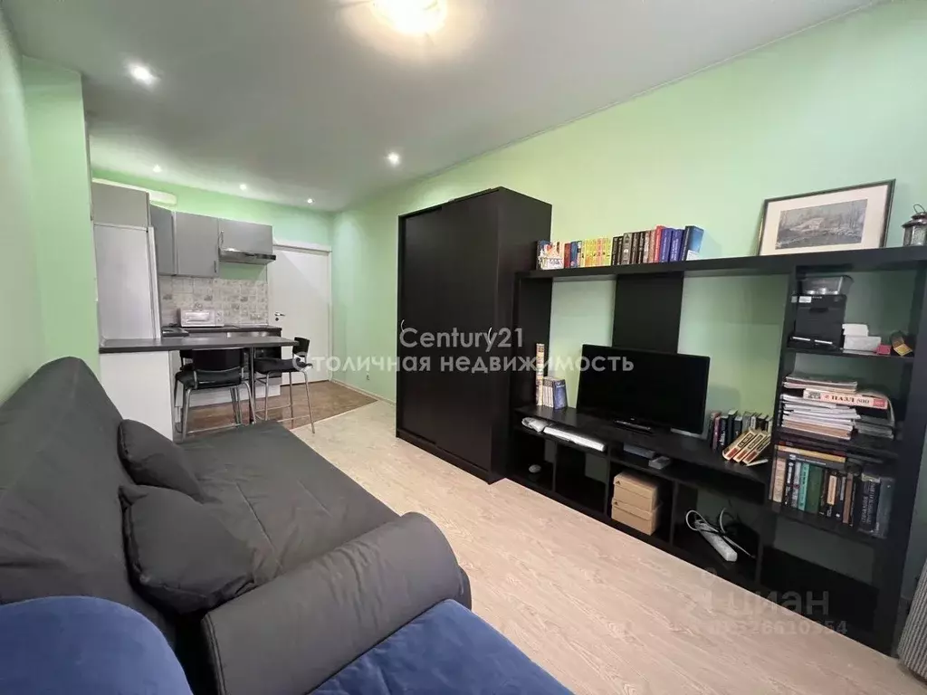 Студия Московская область, Пушкинский городской округ, с. Тарасовка ... - Фото 1