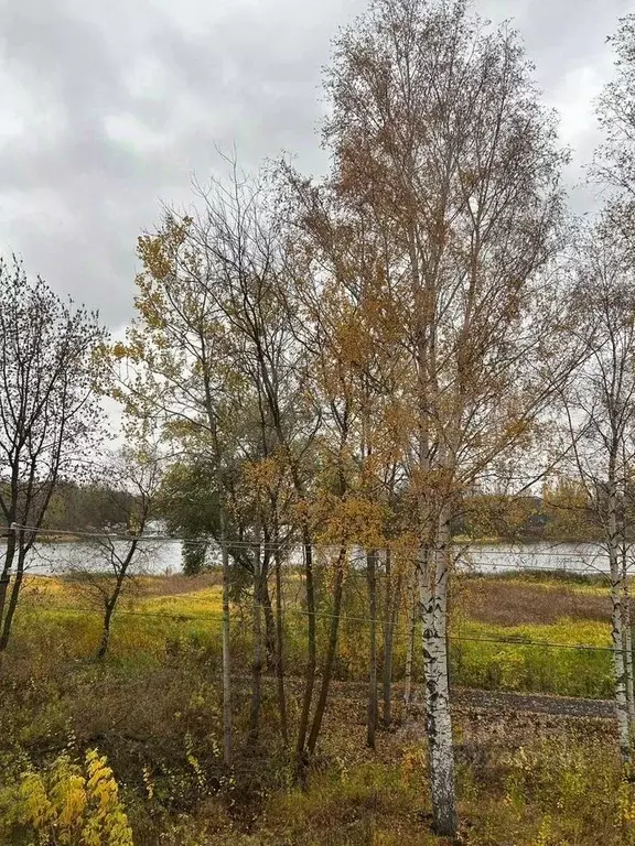 2-к кв. Ярославская область, Ярославль наб. 1-я Закоторосльная, 38А ... - Фото 1