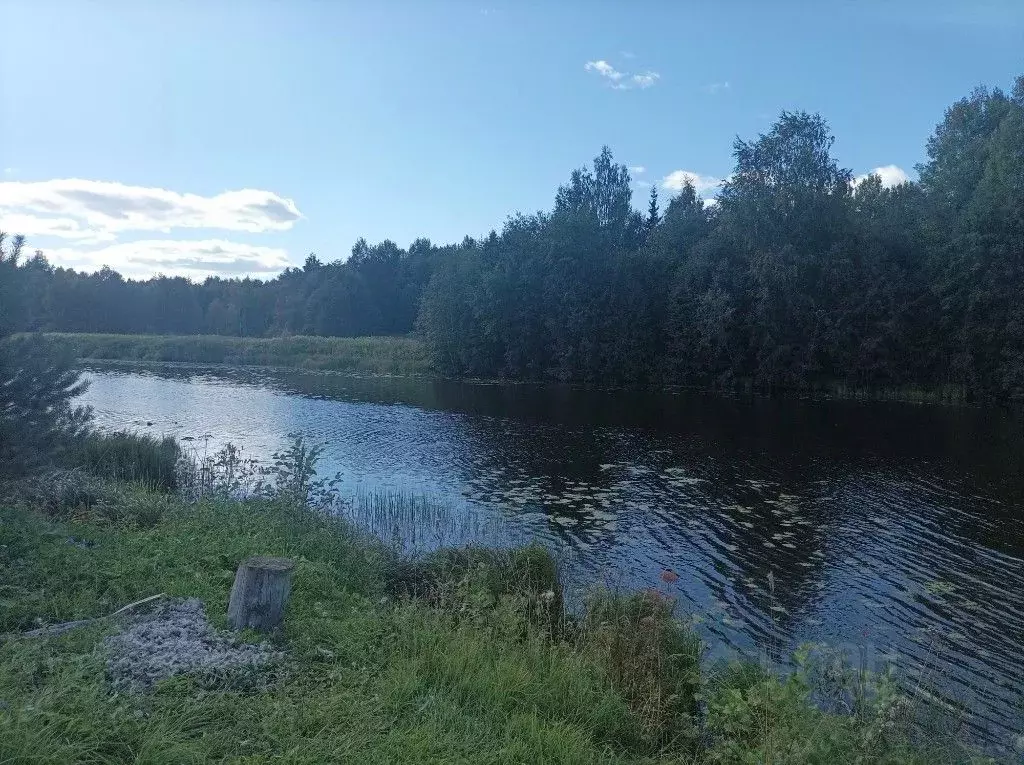 Дом в Вологодская область, Кирилловский муниципальный округ, д. ... - Фото 0