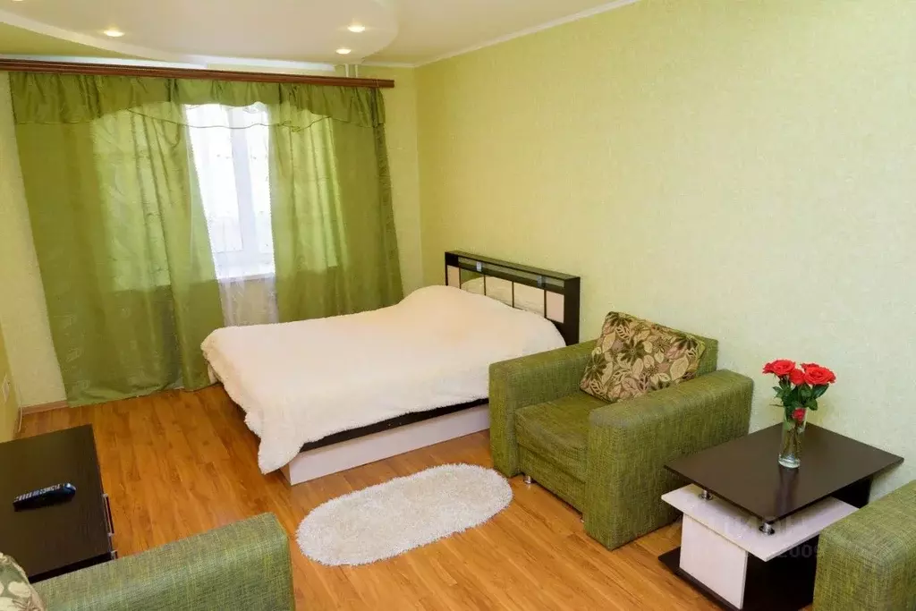 1-к кв. Пензенская область, Пенза ул. Пушкина, 43 (55.0 м) - Фото 2